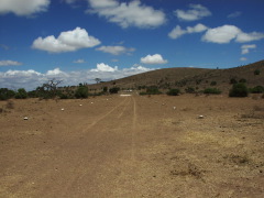 0136TortilisAirstrip2.JPG