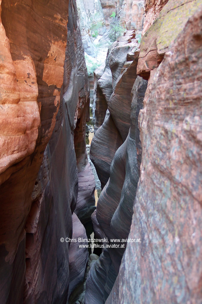 slot_canyons_zion_national_park_sm.jpg
