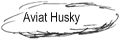 Spornradflugzeug - Info über Aviat Husky