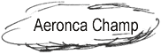 Aeronca 7DC Champion