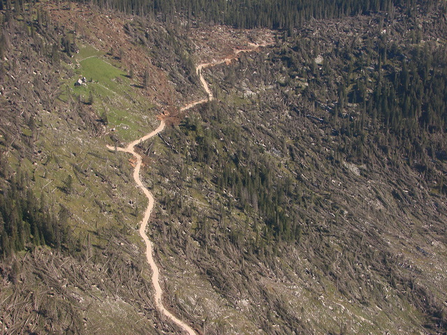 Sturmschäden, Luftaufnahmen, Sommer, Österreich, Oberösterreich, Niederösterreich, Berge, Flugplätze, Luftbilder, Rundflug