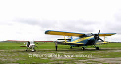 Ikarus und AN-2 am Flugplatz Ketrzyn Wilamowo epke