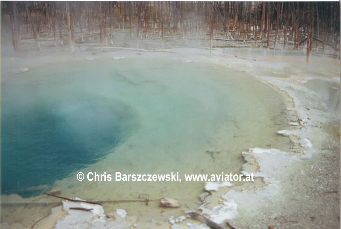 Norris Geisir Basin in Yellowstone National Park, Wyoming