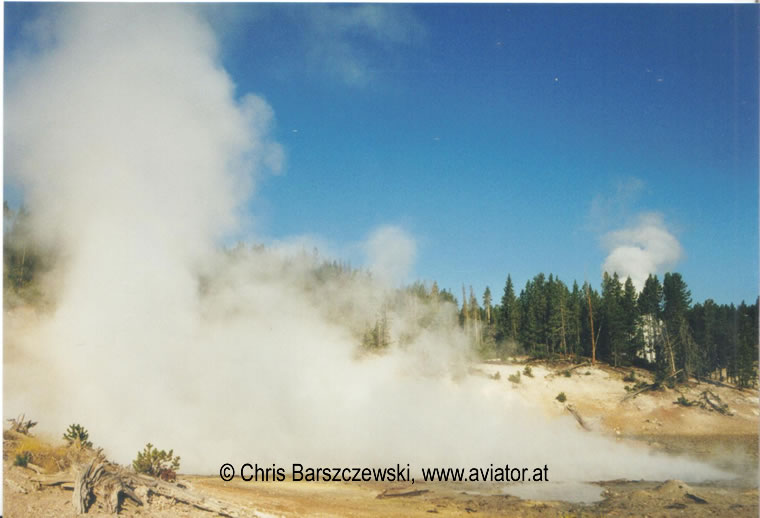 Geyser in Yellowstone National Park, Wyoming