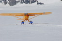 Schweiz, Luftaufnahmen, Gletscherflug, Gletscherlandung, Alpenflug, Gebirgsfliegerei, Gebirgsflug, Mountain flying, Piper Cub, Hans Fuchs, Flugchronik, Ski-Flugzeug, Ski plane, Kanderfirn