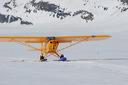 Schweiz, Luftaufnahmen, Gletscherflug, Gletscherlandung, Alpenflug, Gebirgsfliegerei, Gebirgsflug, Mountain flying, Piper Cub, Hans Fuchs, Flugchronik, Ski-Flugzeug, Ski plane, Kanderfirn